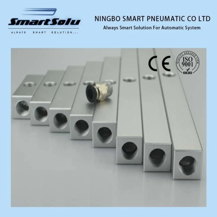 Pneumatic Fittings Distributor Manifold
